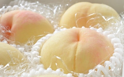 詰合 ／ 白桃 （1玉220g以上） 2玉 ・ ニューピオーネ （1房480g以上） 2房 化粧箱入り【2026年7月下旬～8月上旬迄発送予定】 ／ 桃 もも 葡萄 ぶどう 果物 果実 フルーツ 旬 詰め合わせ 詰合せ 岡山県 美咲町 冷蔵