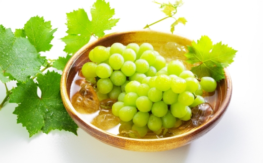 岡山県産 マスカット･オブ･アレキサンドリア 約600g （ 約600g×1房 ） ぶどう ブドウ 葡萄 くだもの 果物 果実 フルーツ 国産 マスカット 【 2026年6月下旬～7月下旬発送予定 】