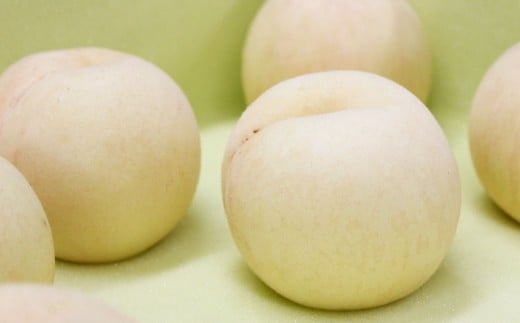 【 ご 家庭用 】 岡山 白桃 2種 2玉 500g  【 2026年7月上旬から9月上旬頃発送予定 】 ／ 果物 くだもの フルーツ もも 桃 甘い 香り 柔らかい ジューシー 美味しい 岡山県 美咲町