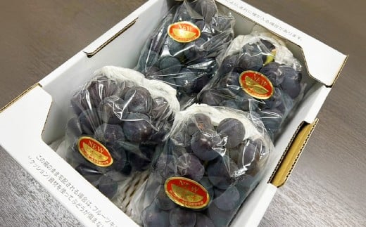 岡山県産 ニューピオーネ 2房 （1房480g以上） 約1kg 化粧箱入り 【2026年8月下旬-10月上旬迄発送予定】 ／ 葡萄 ぶどう 果物 果実 フルーツ 種なし 岡山県 美咲町 冷蔵
