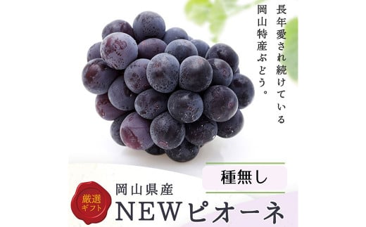 詰合 ／ ニューピオーネ 2房 ・ シャインマスカット 晴王 2房 （1房各480g以上） 化粧箱入り 【2026年9月上旬～10月上旬迄発送予定】／ 葡萄 ぶどう マスカット 果物 果実 フルーツ 種なし 詰め合わせ 詰合せ 岡山県 美咲町 冷蔵