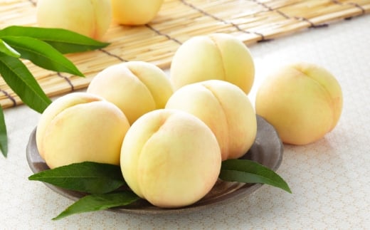 岡山県産 岡山白桃 エース Lサイズ 約200g×2玉・ ニューピオーネ 約400g×1房 詰合せ ぶどう ブドウ 葡萄 くだもの 果物 果実 フルーツ 国産 白桃 モモ もも 桃 家庭用 ギフト 贈り物 贈答 【 2026年7月上旬～8月下旬発送予定 】