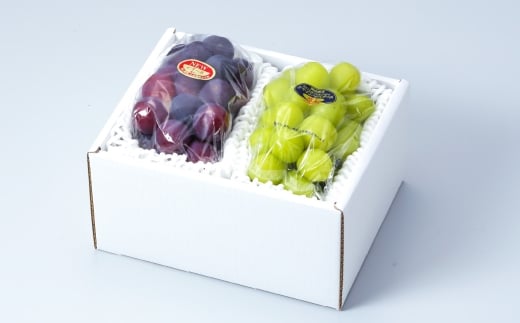 岡山県産 シャインマスカット 「 晴王 」 と ニューピオーネ 2Lサイズ 計約1kg ぶどう ブドウ 葡萄 くだもの 果物 果実 フルーツ 国産 マスカット 【 2026年8月下旬～9月下旬発送予定 】
