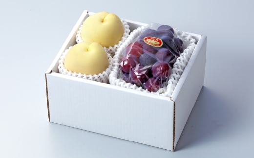 岡山県産 岡山白桃 エース Lサイズ 約200g×2玉・ ニューピオーネ 約400g×1房 詰合せ ぶどう ブドウ 葡萄 くだもの 果物 果実 フルーツ 国産 白桃 モモ もも 桃 家庭用 ギフト 贈り物 贈答 【 2026年7月上旬～8月下旬発送予定 】