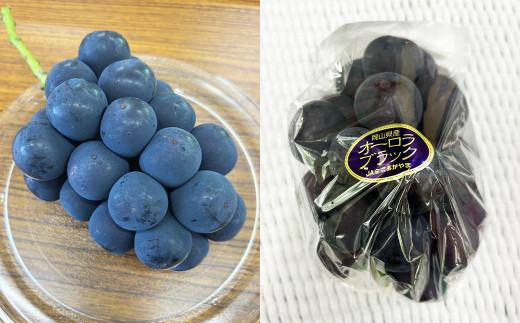 オーロラブラック 2kg ぶどう 葡萄 フルーツ 果物 岡山県 岡山県産 2026年 先行予約 【2026年8月上旬-9月下旬発送予定】