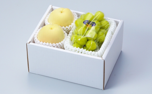 岡山県産 岡山白桃 ロイヤル 2Lサイズ 約250g×2玉・ シャインマスカット 晴王 約500g×1房 詰合せ 白桃 モモ もも 桃 ぶどう ブドウ 葡萄 マスカット くだもの 果物 果実 フルーツ 国産 家庭用 ギフト 贈り物 贈答 【 2026年7月上旬～8月下旬発送予定 】