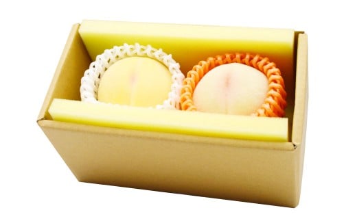 【 ご 家庭用 】 岡山 白桃 2種 2玉 500g  【 2026年7月上旬から9月上旬頃発送予定 】 ／ 果物 くだもの フルーツ もも 桃 甘い 香り 柔らかい ジューシー 美味しい 岡山県 美咲町