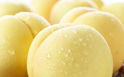 岡山白桃 エース 4～8玉 約1.2kg 岡山県産 白桃 桃 もも モモ くだもの 果物 果実 フルーツ 国産 ギフト 贈り物 【 2026年7月上旬～8月下旬発送予定 】