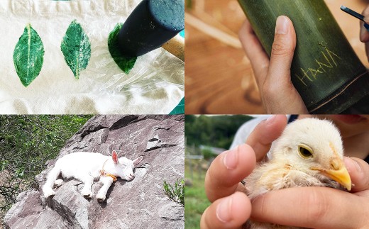 宿泊券 【Chambre d'hote E】 宿泊ギフト券 （15,000円分） ／ 宿泊 ギフト券 クーポン券 ギフトチケット クーポンチケット 券 チケット 岡山県 美咲町