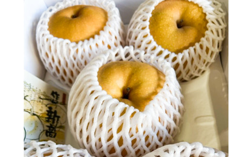 新高 梨 3～6玉 （約4kg） 化粧箱入り【2026年9月下旬～11月上旬迄発送予定】 ／ なし 和梨 果物 果実 フルーツ 大玉 岡山県 美咲町 常温