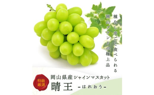 詰合 ／ ニューピオーネ 2房 ・ シャインマスカット 晴王 2房 （1房各480g以上） 化粧箱入り 【2026年9月上旬～10月上旬迄発送予定】／ 葡萄 ぶどう マスカット 果物 果実 フルーツ 種なし 詰め合わせ 詰合せ 岡山県 美咲町 冷蔵