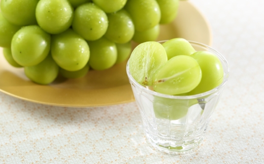 岡山県産 シャインマスカット 晴王 約5kg （ 5房～10房 ） ぶどう ブドウ 葡萄 マスカット 果物 くだもの フルーツ 国産 【 2026年8月下旬～11月下旬発送予定 】