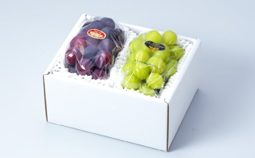 岡山県産 シャインマスカット 晴王 ・ ニューピオーネ 3Lサイズ 計約1.2kg 詰合せ ぶどう ブドウ 葡萄 くだもの 果物 果実 フルーツ 国産 マスカット 【 2026年6月下旬～7月下旬発送予定 】