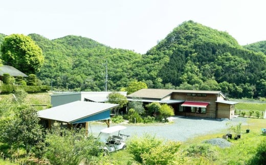 グルテンフリーパン 《小麦・卵・乳不使用》 米粉のやさしいパン ／ お芋パン＆こしあんパン 計20個入り 2種類 各10個 ／ パン ぱん グルテンフリー 米粉 さつまいも セット 冷凍 岡山県 美咲町