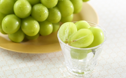 ご家庭用 岡山県産 シャインマスカット 晴王 約1.5kg （ 3房～6房 ） ぶどう ブドウ 葡萄 マスカット 果物 くだもの フルーツ 国産 【 2026年8月下旬～11月下旬発送予定 】